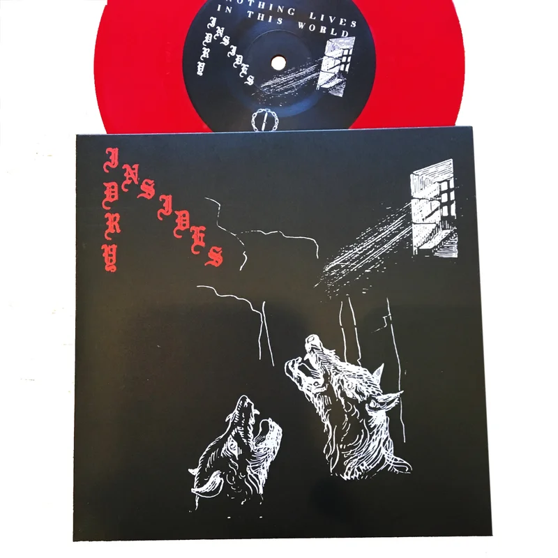 Dry Insides: S/T 7" (new)