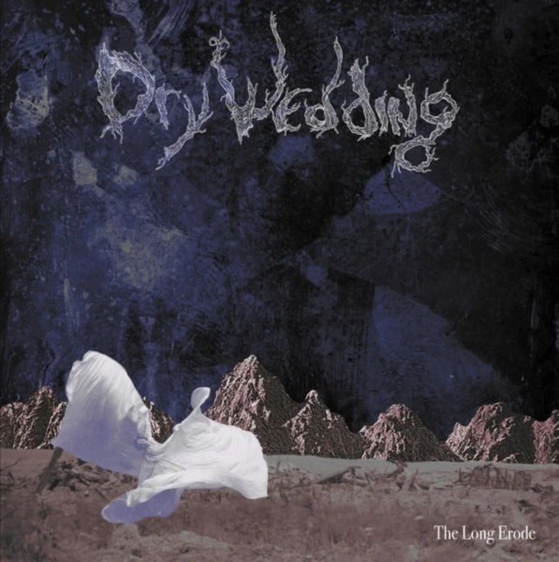 Dry Wedding:The Long Erode 12"