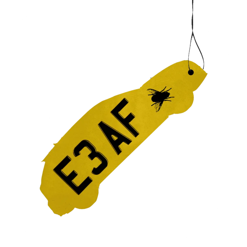 E3 AF: Air Freshener (Car Shape)
