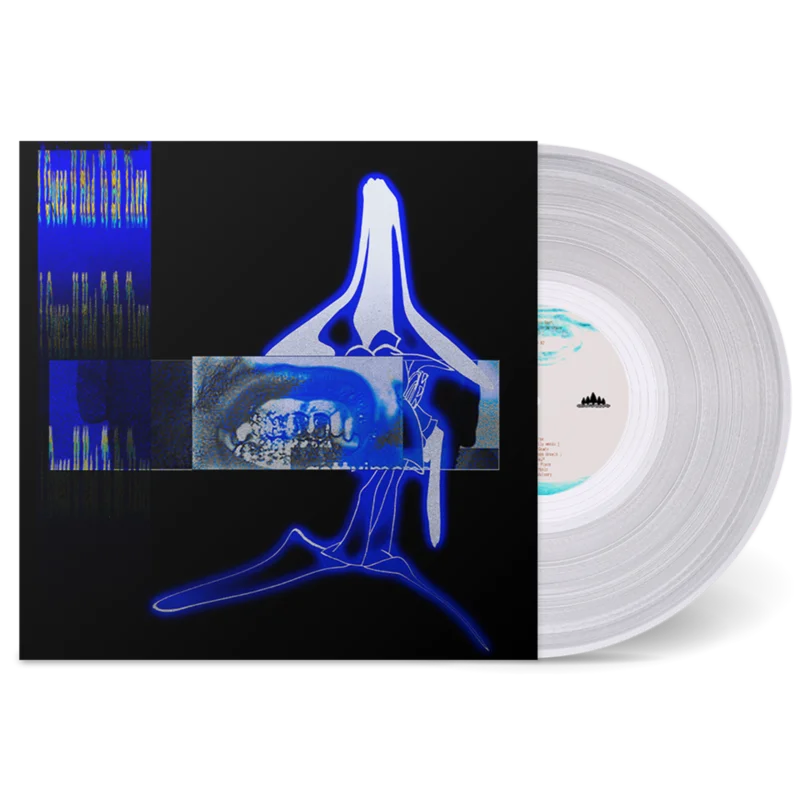 ELUCID & SEBB BASH 'I GUESS U HAD TO BE THERE' LP (Transparent Clear Vinyl)