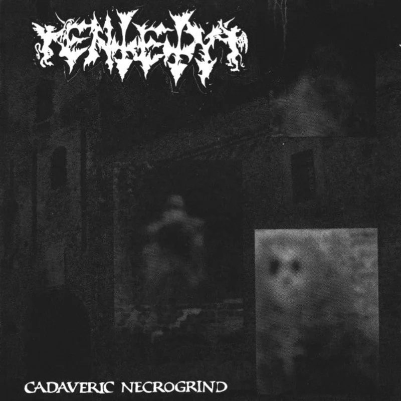 Entety: Cadaveric Necrogrind 12"
