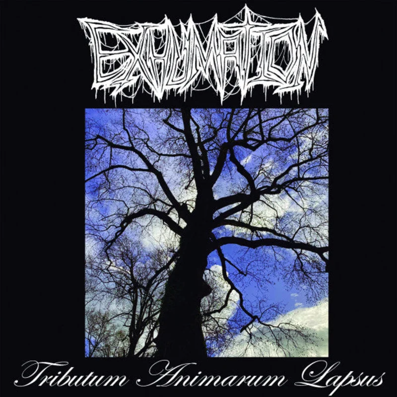 Exhumation: Tributum Animarum Lapsus 12"