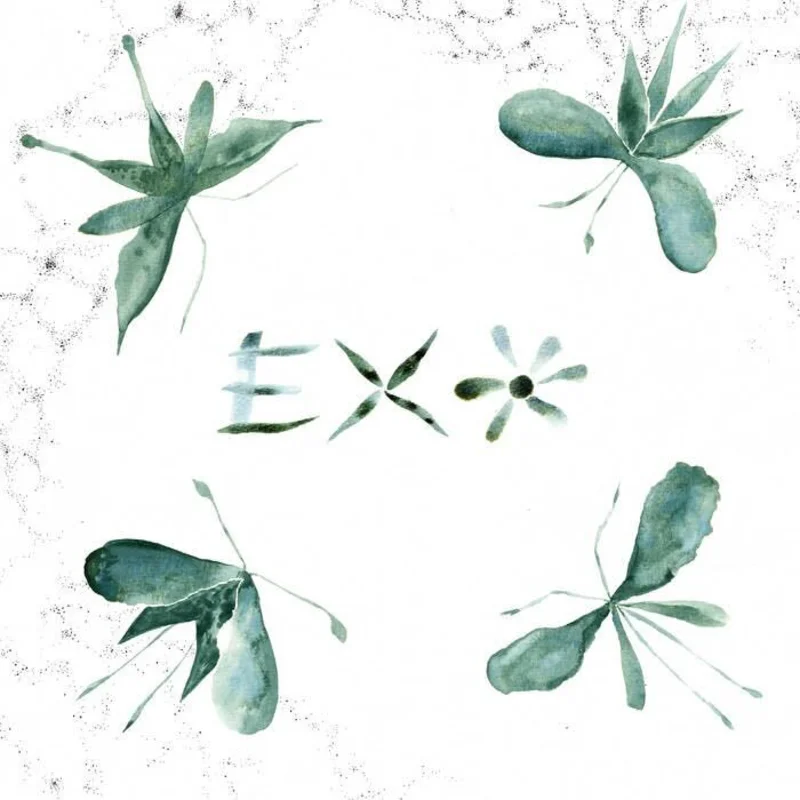 EXO: S/T 12"