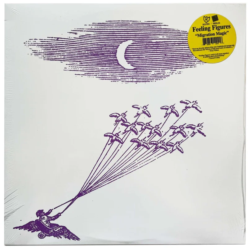 Feeling Figures: Migration Magic 12"