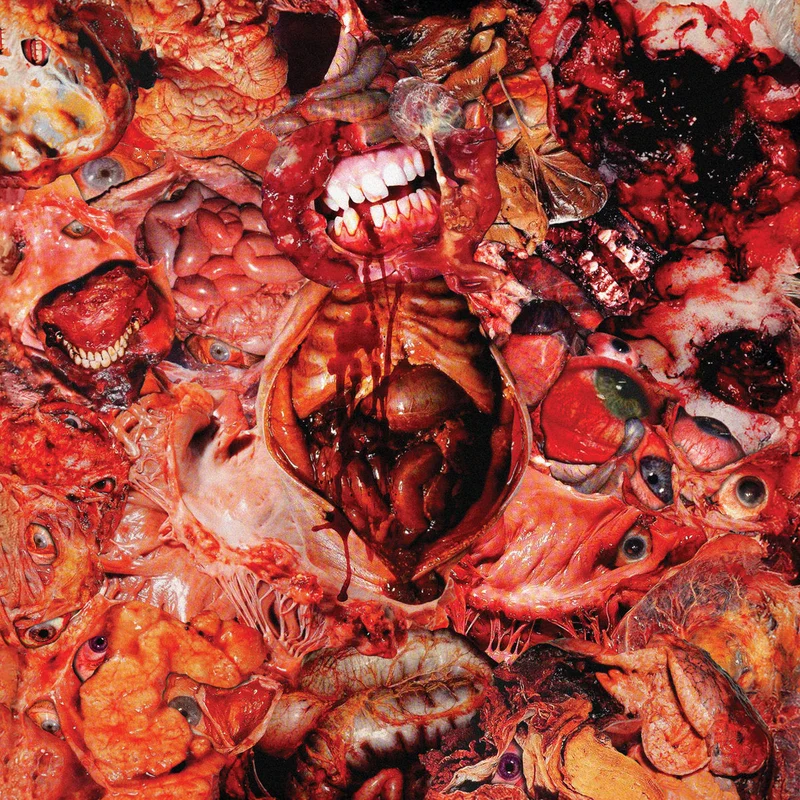 FesterDecay: From Demo To Rot 12"
