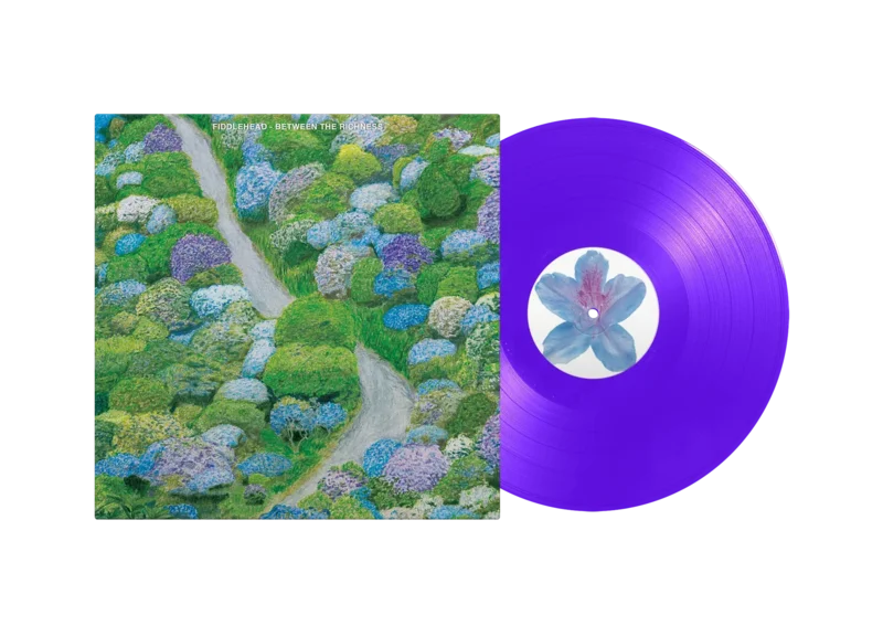 FIDDLEHEAD 'BETWEEN THE RICHNESS' LP (Violet Vinyl)