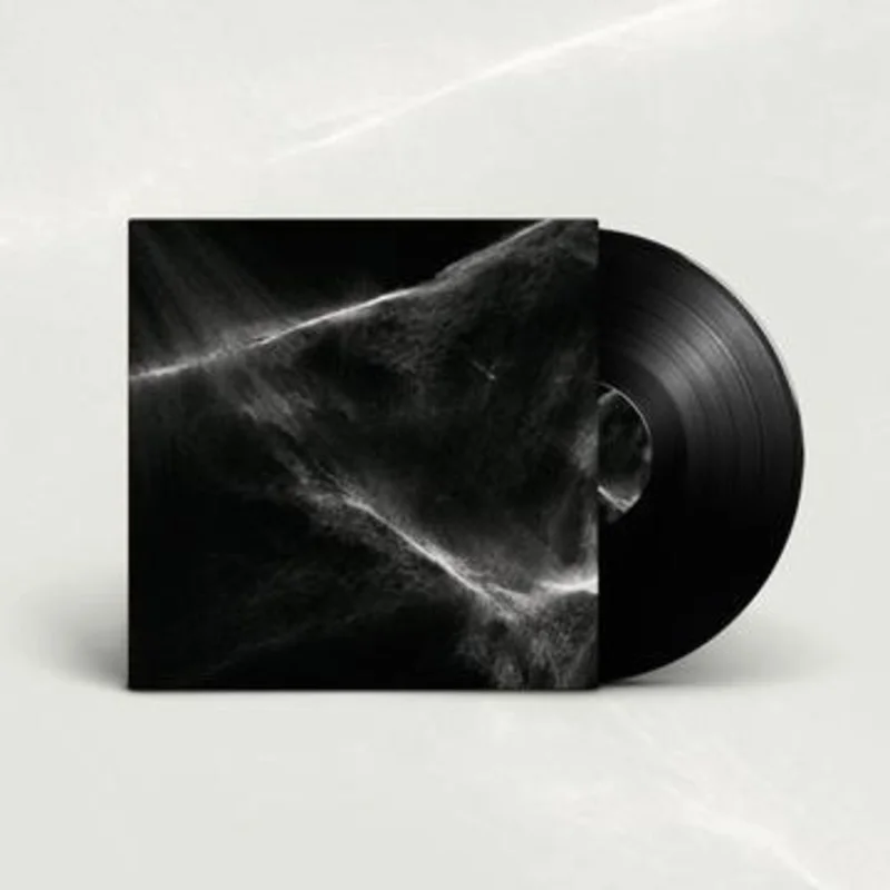 FINAL LIGHT 'FINAL LIGHT' LP - CULT OF LUNA & PERTURBATOR