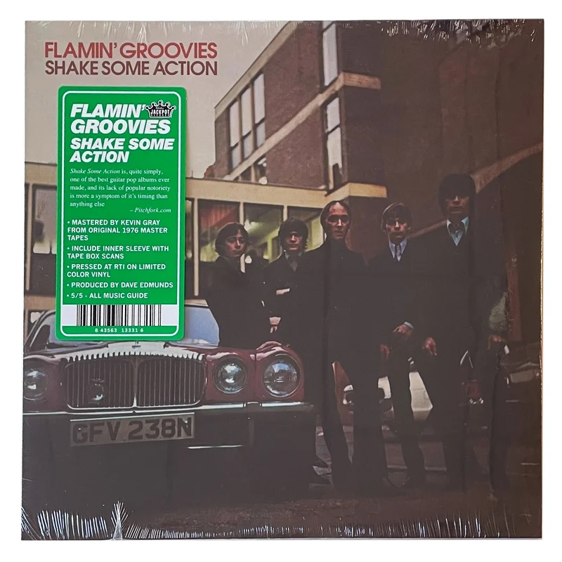 Flamin' Groovies: Shake Some Action 12"