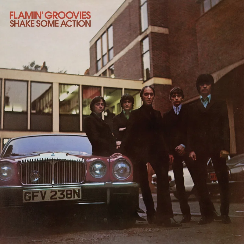 FLAMIN' GROOVIES - SHAKE SOME ACTION - VINYL LP