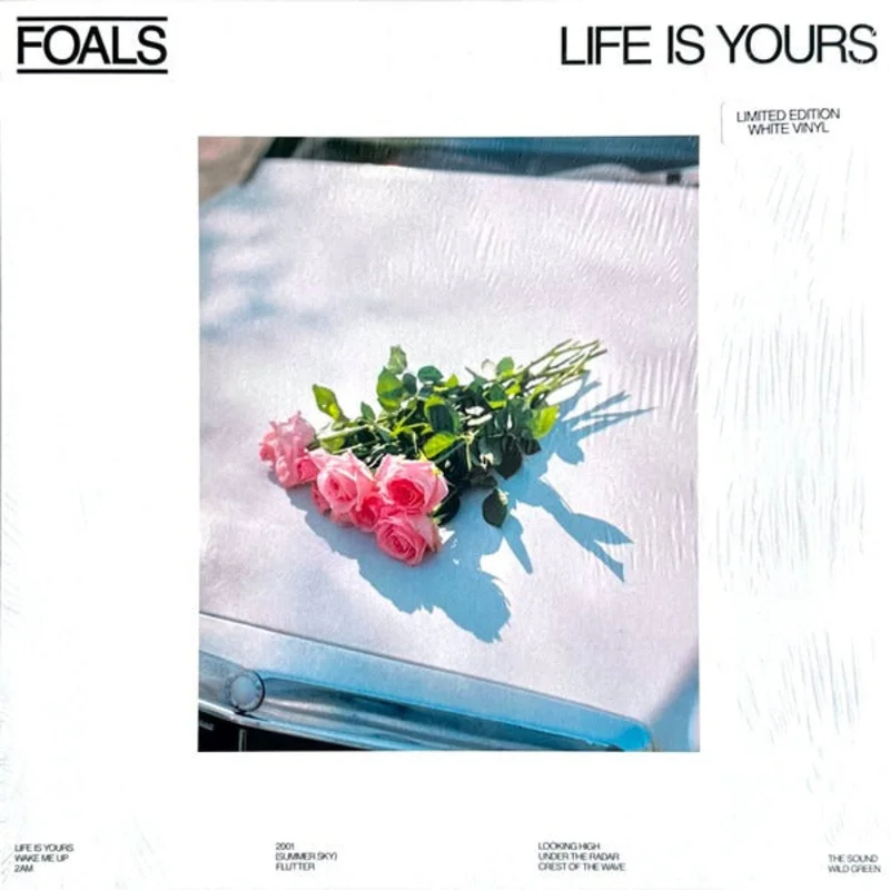 Foals: Life Is Yours 12"