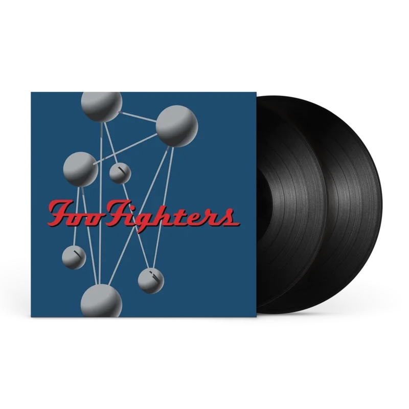 FOO FIGHTERS - COLOUR AND THE SHAPE - VINYL LP