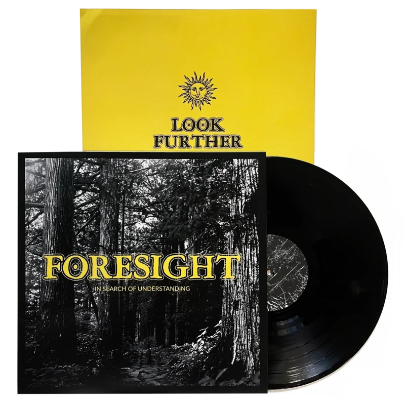 Foresight: In Search of Understanding 12"