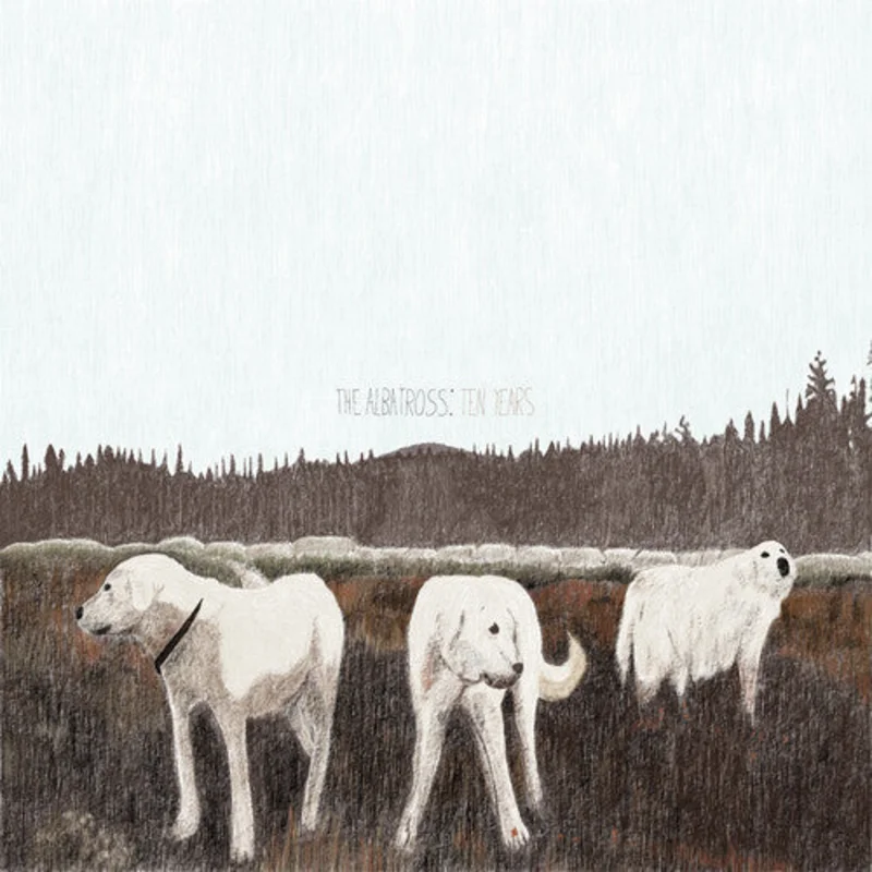 FOXING 'THE ALBATROSS: TEN YEARS' LP - BROWN