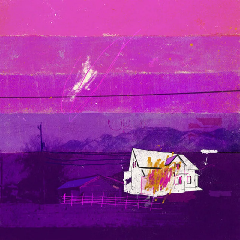 FREE THROW THOSE DAYS ARE GONE 10TH ANNIVERSARY EDITION 2LP - PINK