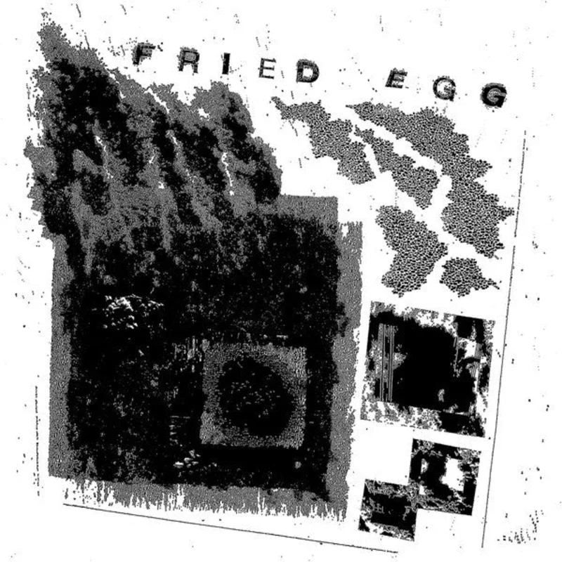 Fried Egg: Square One 12"
