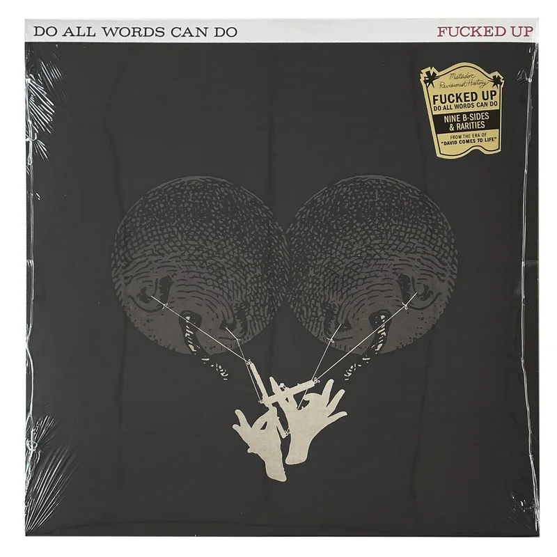Fucked Up: Do All Words Can Do 12"