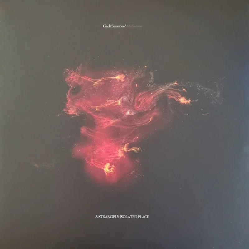 Gadi Sassoon: Multiverse 2x12"