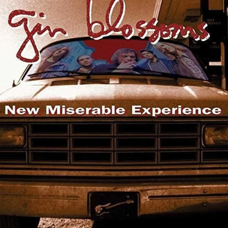 GIN BLOSSOMS - NEW MISERABLE EXPERIENCE - VINYL LP