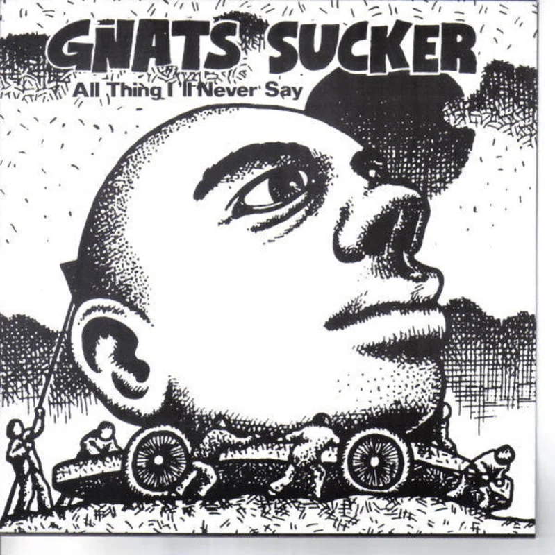 Gnats Sucker: All Thing I'll Never Say 7"