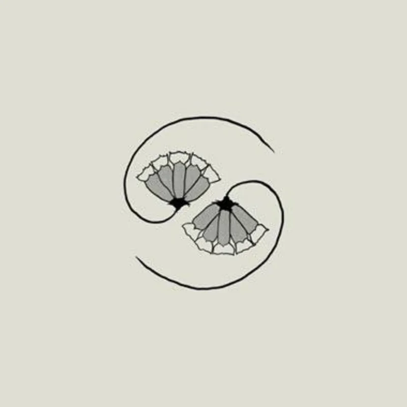 GODSPEED YOU! BLACK EMPEROR 'G_D'S PEE AT STATE'S END!' LP + 10" EP