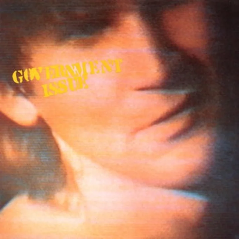 Government Issue: The Fun Just Never Ends 12"