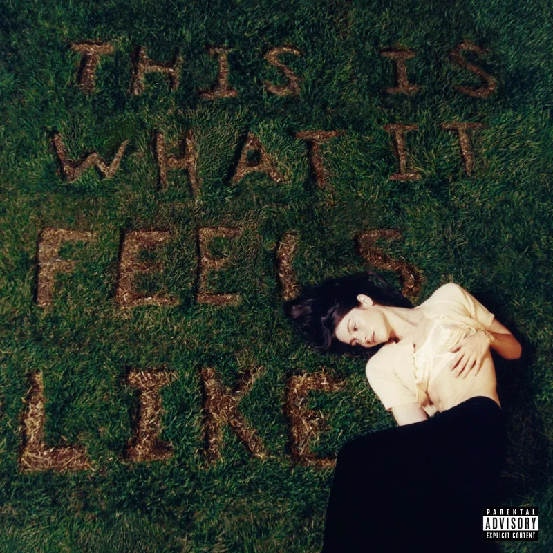 Gracie Abrams: This Is What It Feels Like 12"