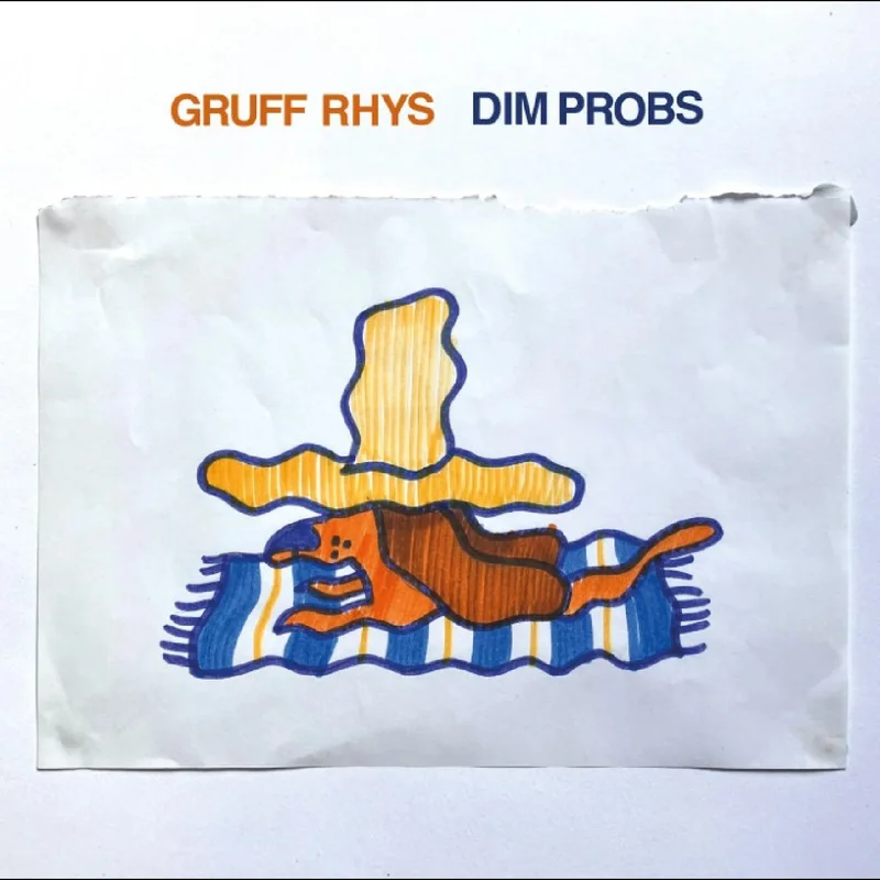 Gruff Rhys: Dim Probs 12"