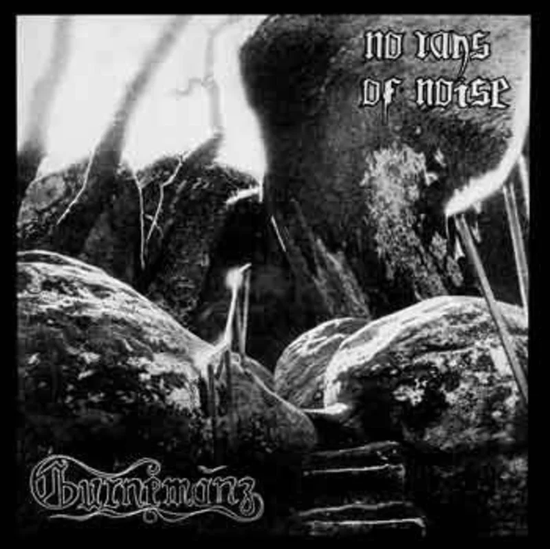 Gurnemanz: No Rays Of Noise 12"