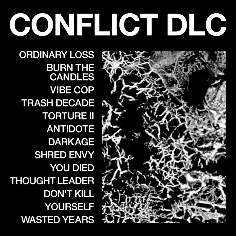 HEALTH CONFLICT DLC CD