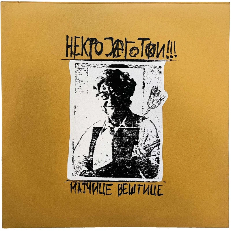Hekrojagotki: Majice Vetice 12"