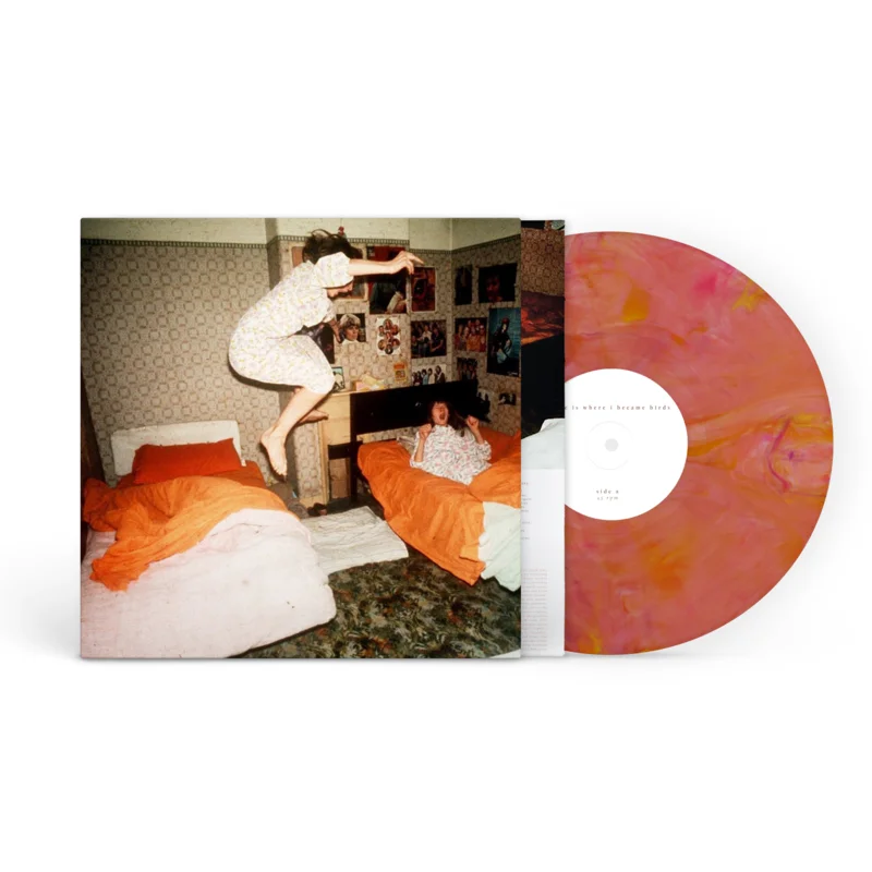 HOME IS WHERE 'I BECAME BIRDS' LP - GUAVA BLEND