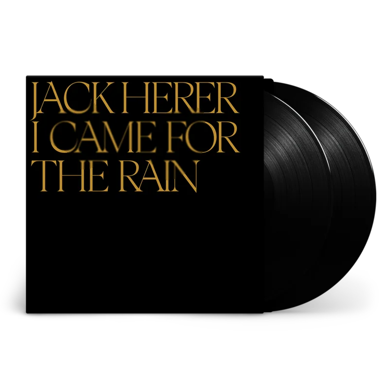 I Came For The Rain: Vinyl 2LP
