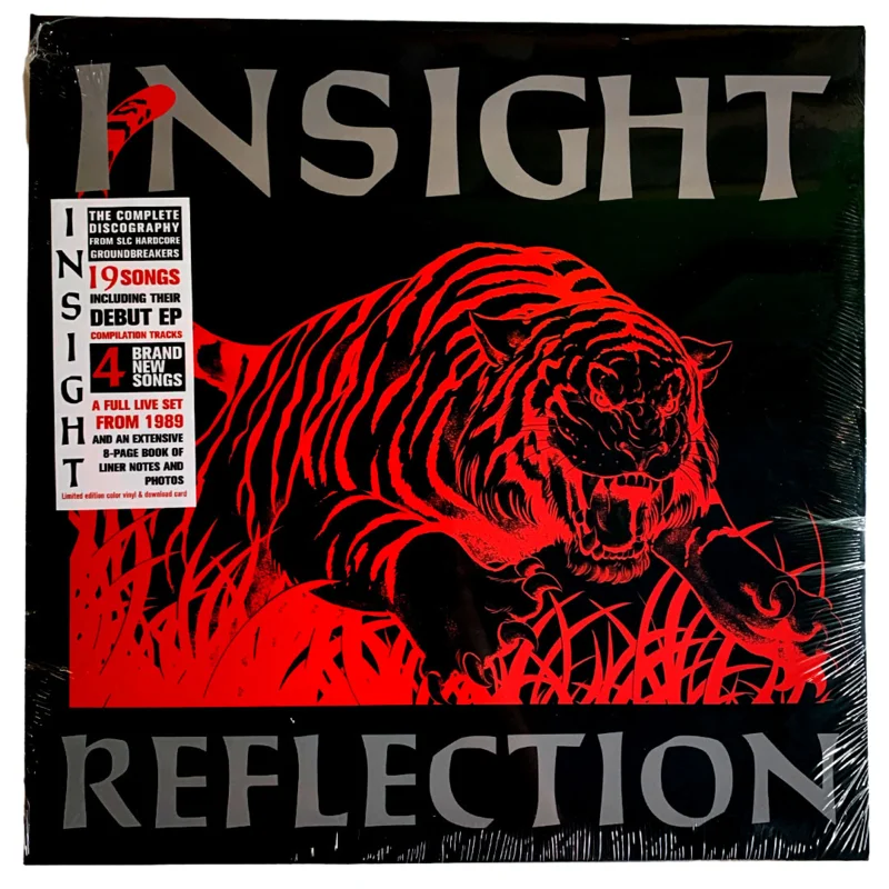 Insight: Reflection 12"