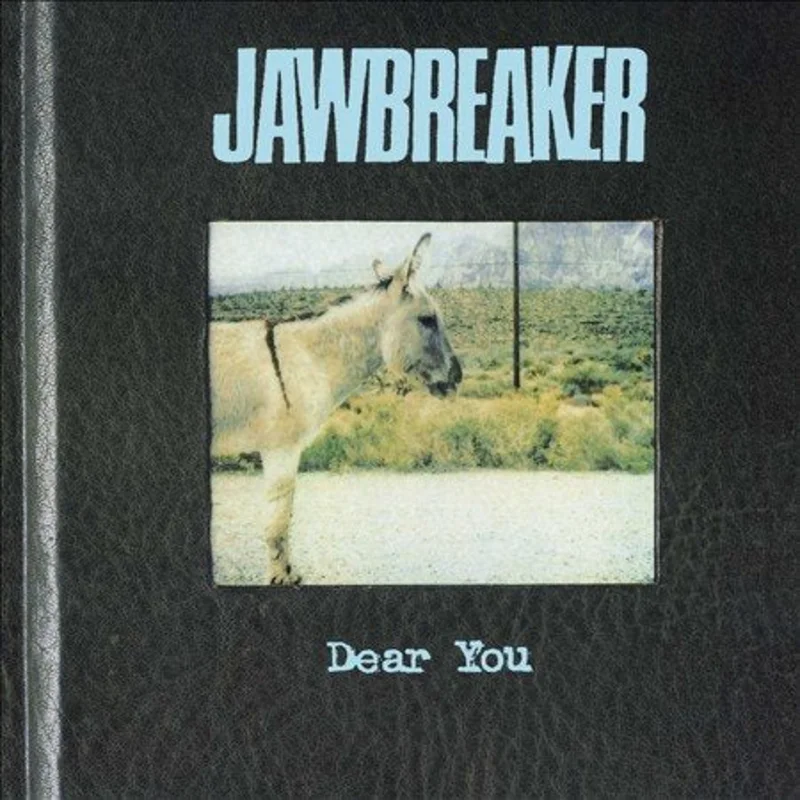 Jawbreaker: Dear You 12"