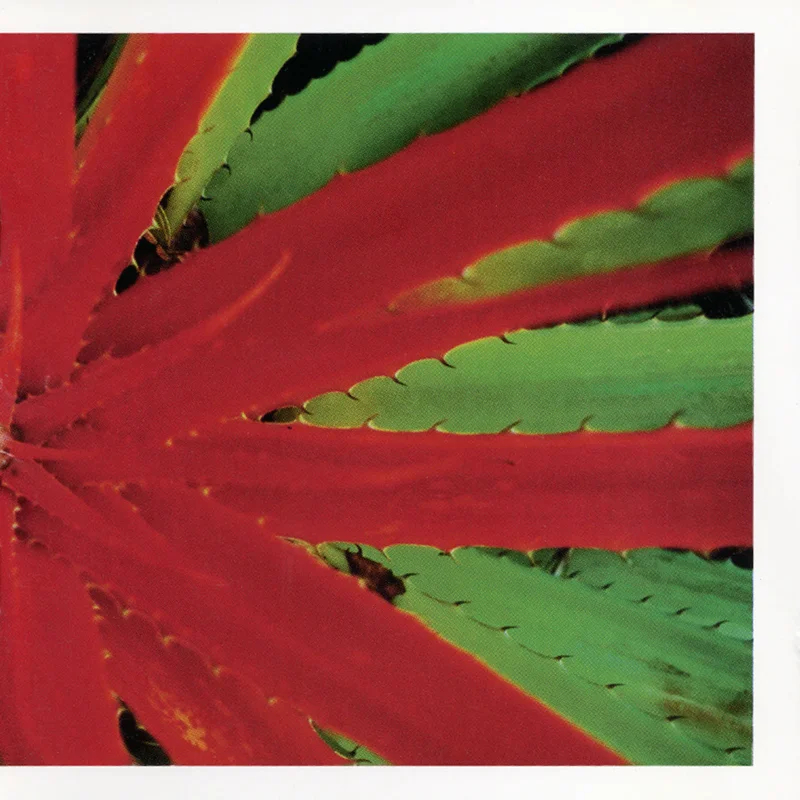 Jejune: This Afternoons Malady 12"