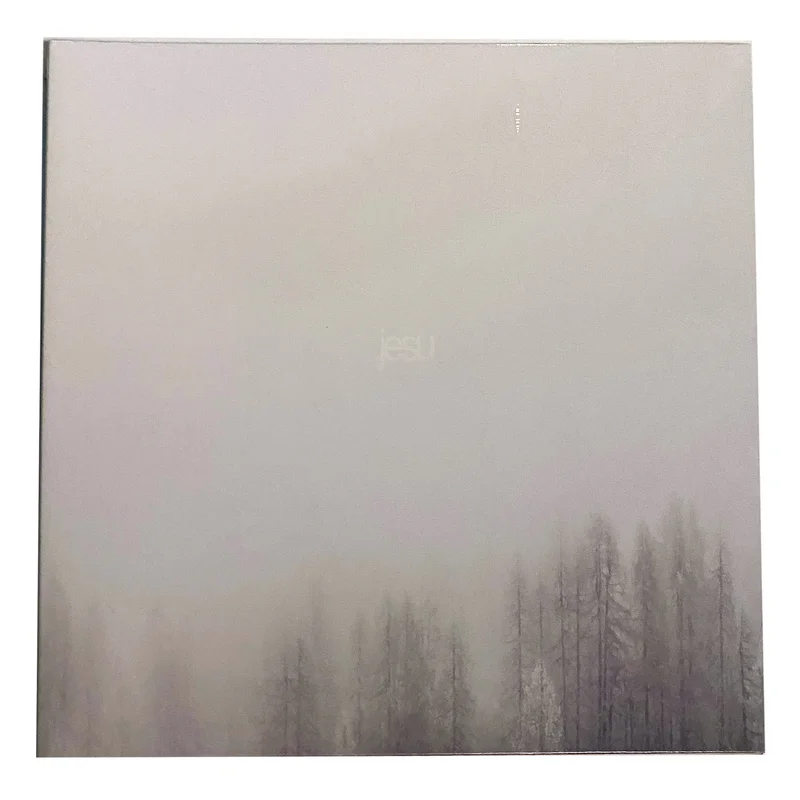 Jesu: Terminus 12"