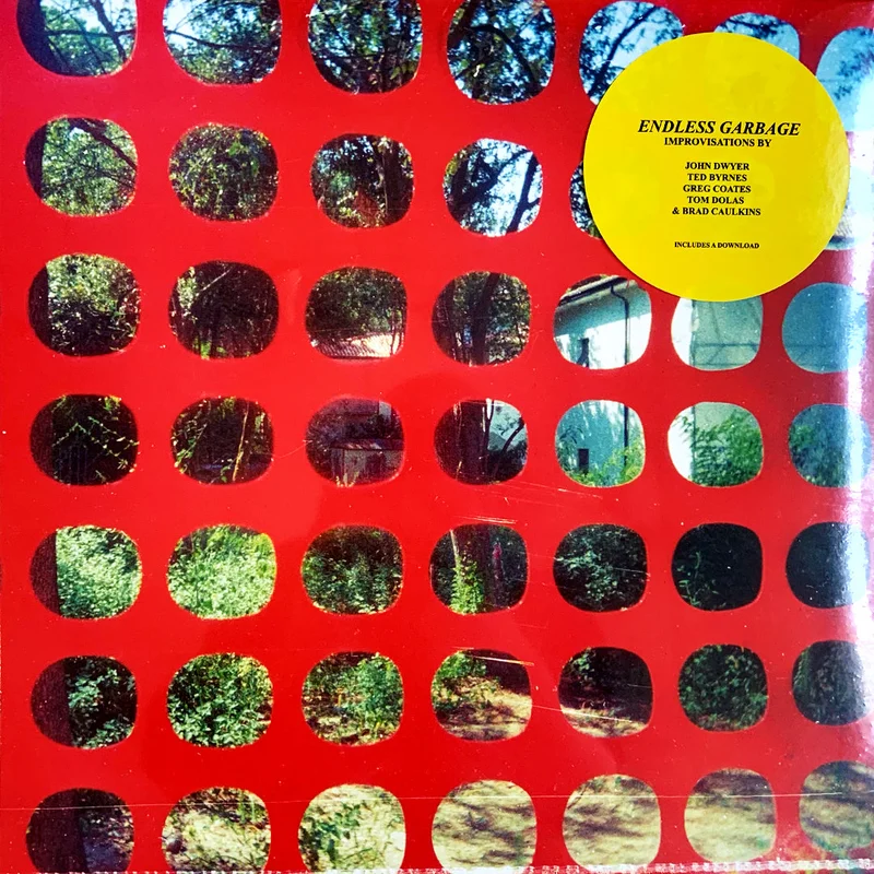 John Dwyer: Endless Garbage 12"