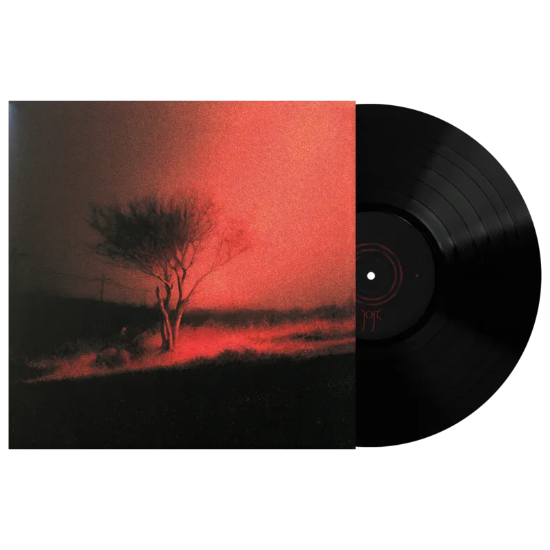 JOJI - PISS IN THE WIND - VINYL LP