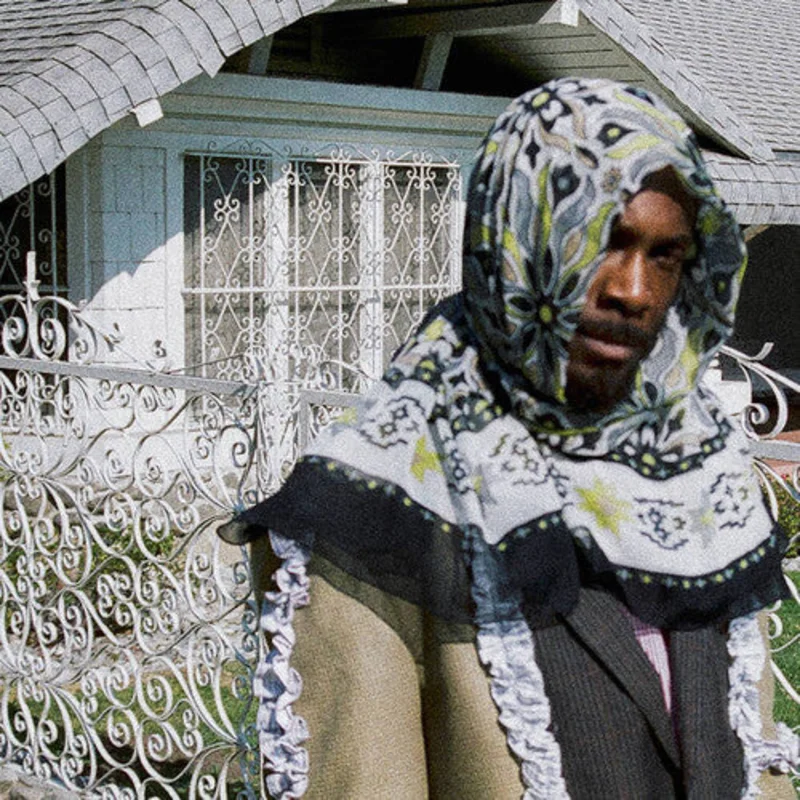 Jpegmafia: All My Heroes Are Cornballs 12"