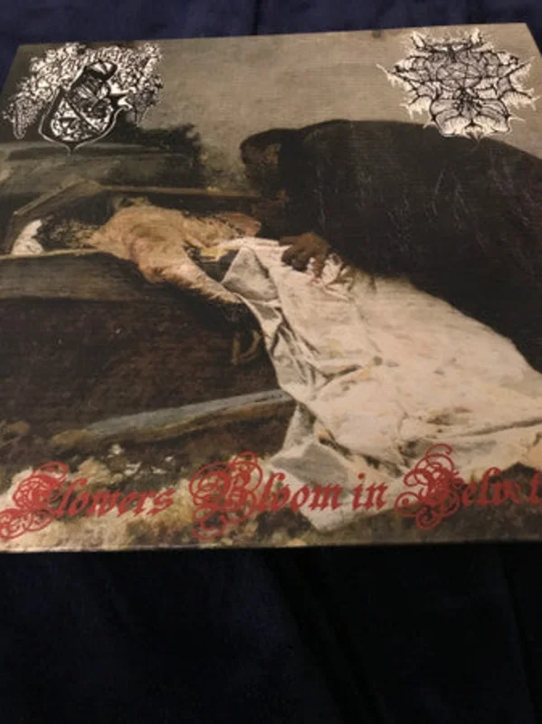 Katabasilisk / Kneipegeist: What Flowers Bloom In Velvet Night 12"