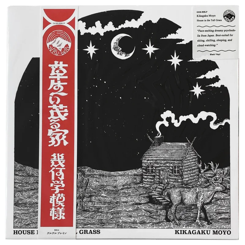 Kikagaku Moyo: House In The Tall Grass 12"