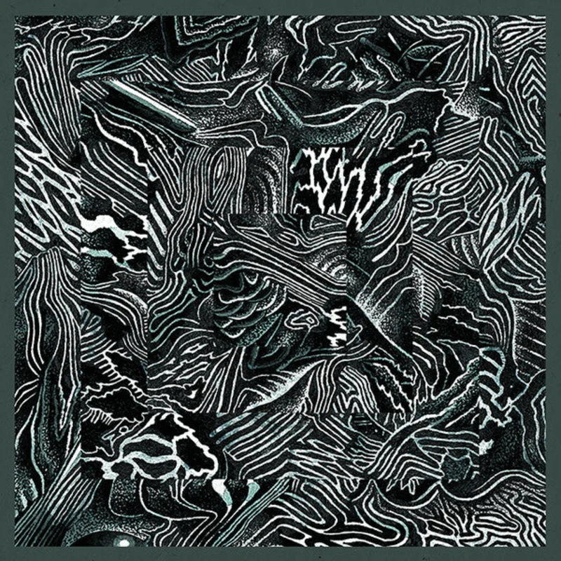 Kilchhofer: Dersu 12"