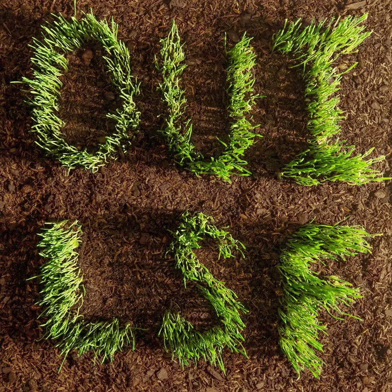 Les Savy Fav: Oui Lsf 12"