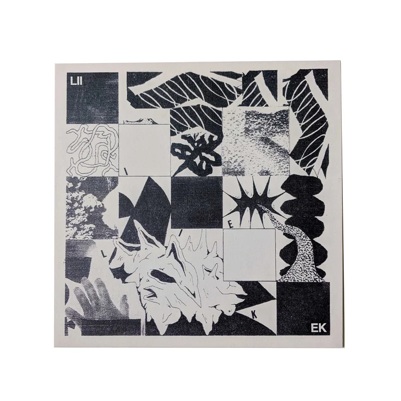 Liiek: S/T 12"