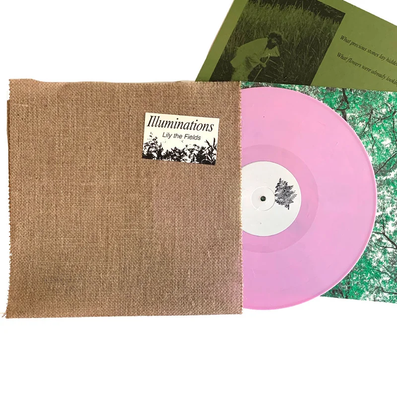 Lily The Fields: Illuminations 12"