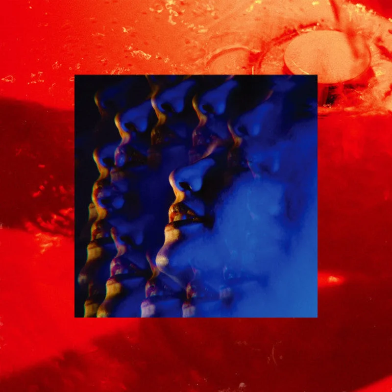 Little Hag: Leash 12"