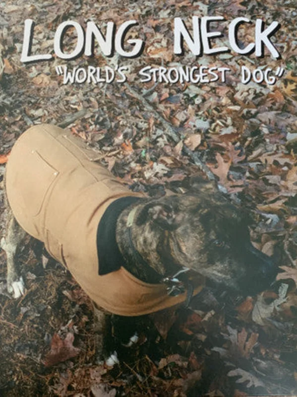 Long Neck: World's Strongest Dog 12"
