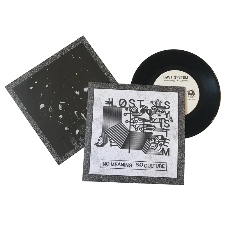 Lost System: No Meaning No Culture 7"