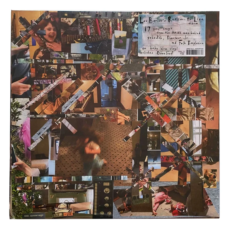 Lou Barlow: Reason To Live 12"