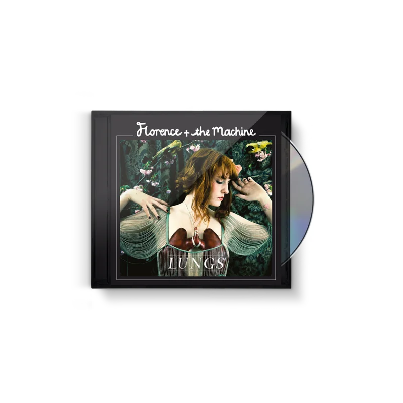 Lungs: CD